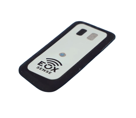 Prototypes